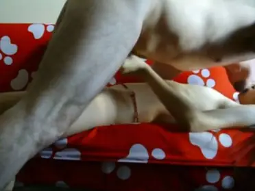 Bispak Jakarta Buka Layanan Ekstra Di Hotel Bintang Lima